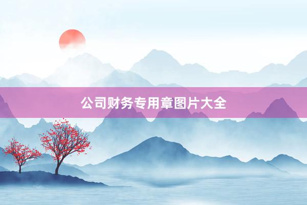 公司财务专用章图片大全