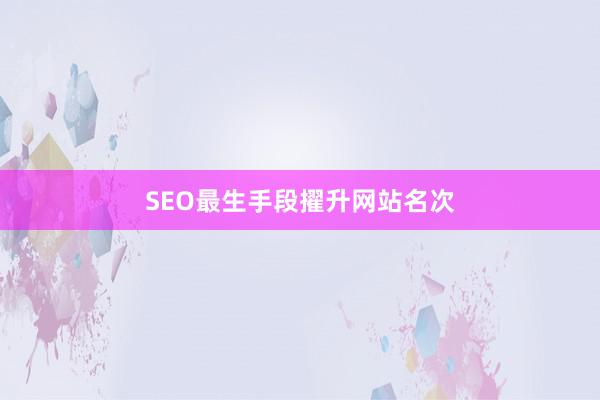 SEO最生手段擢升网站名次