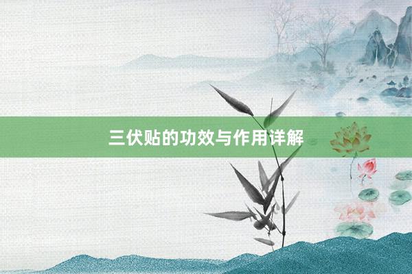 三伏贴的功效与作用详解