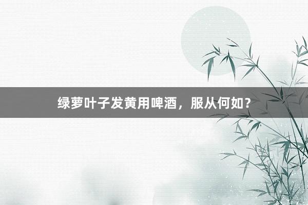 绿萝叶子发黄用啤酒，服从何如？