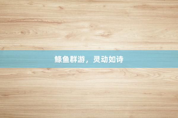 鲦鱼群游,灵动如诗