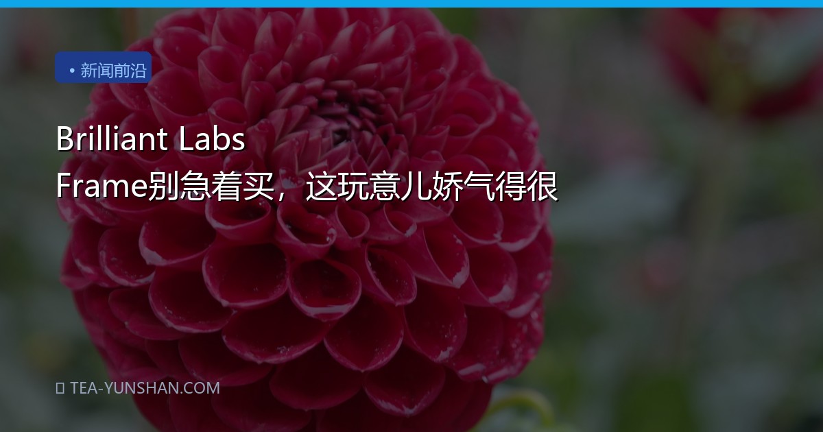 Brilliant Labs Frame别急着买，这玩意儿娇气得很
