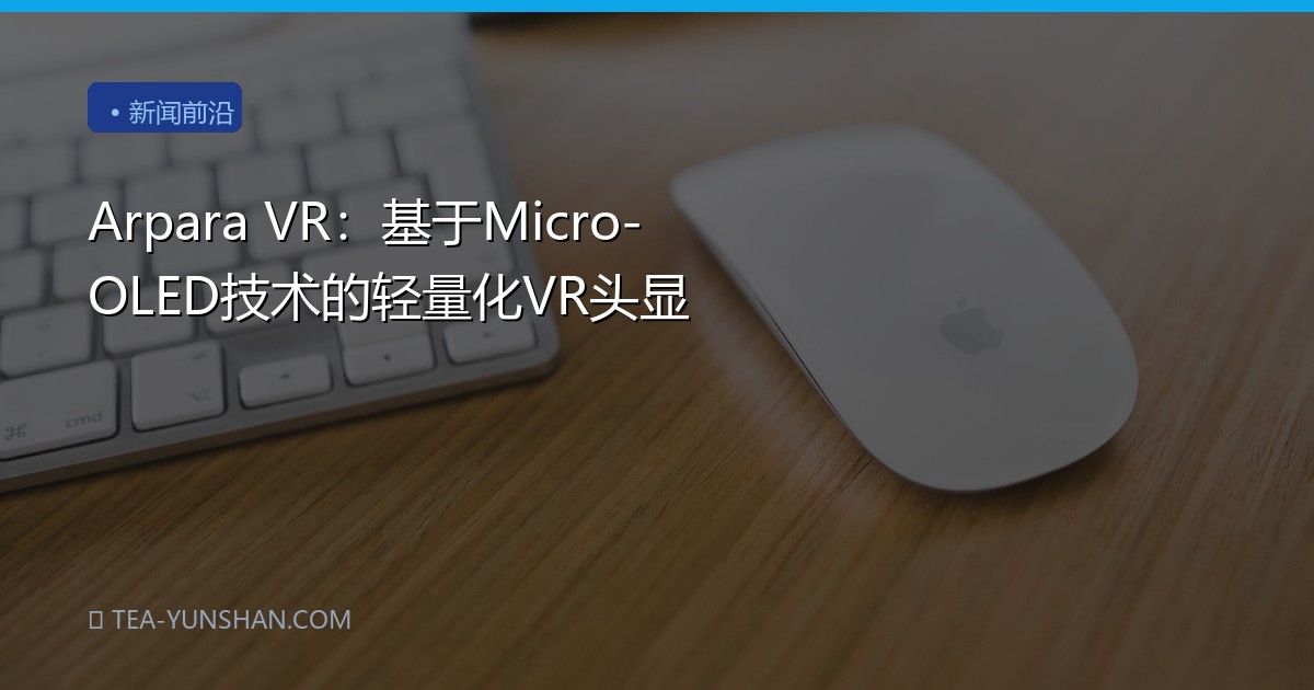 Arpara VR：基于Micro-OLED技术的轻量化VR头显